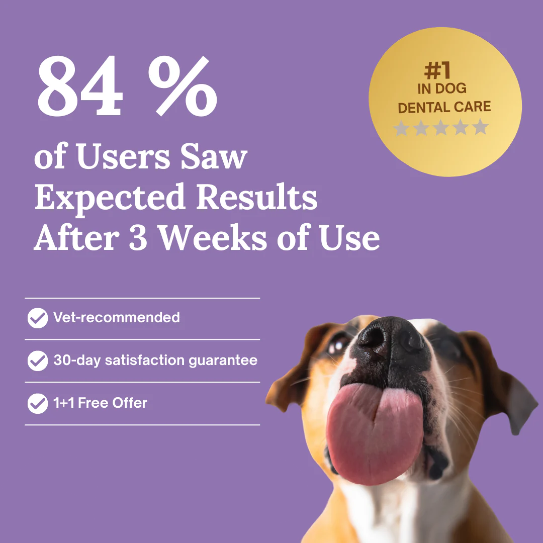 Spokey™ OralFresh Pet Pen