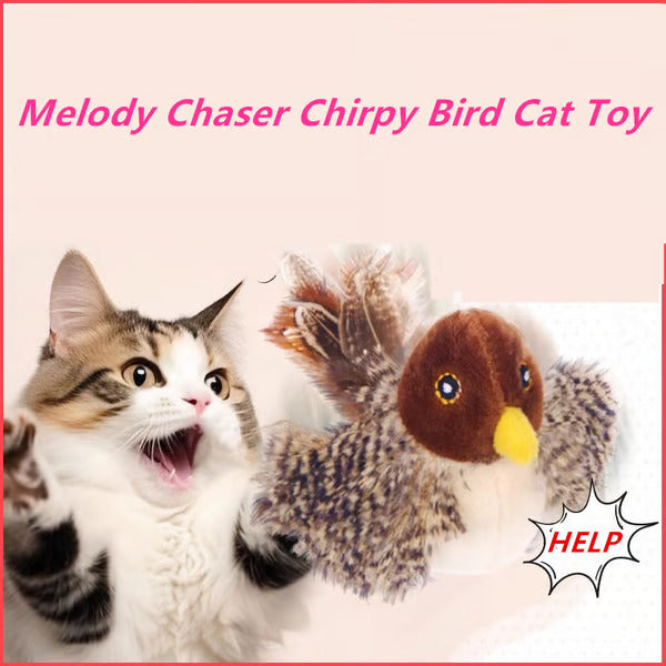 Spokey Chirping Cat Bird Toy