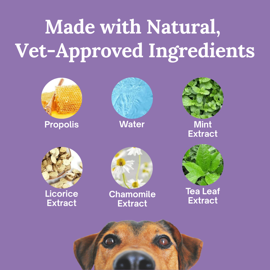 Spokey™ OralFresh Pet Pen