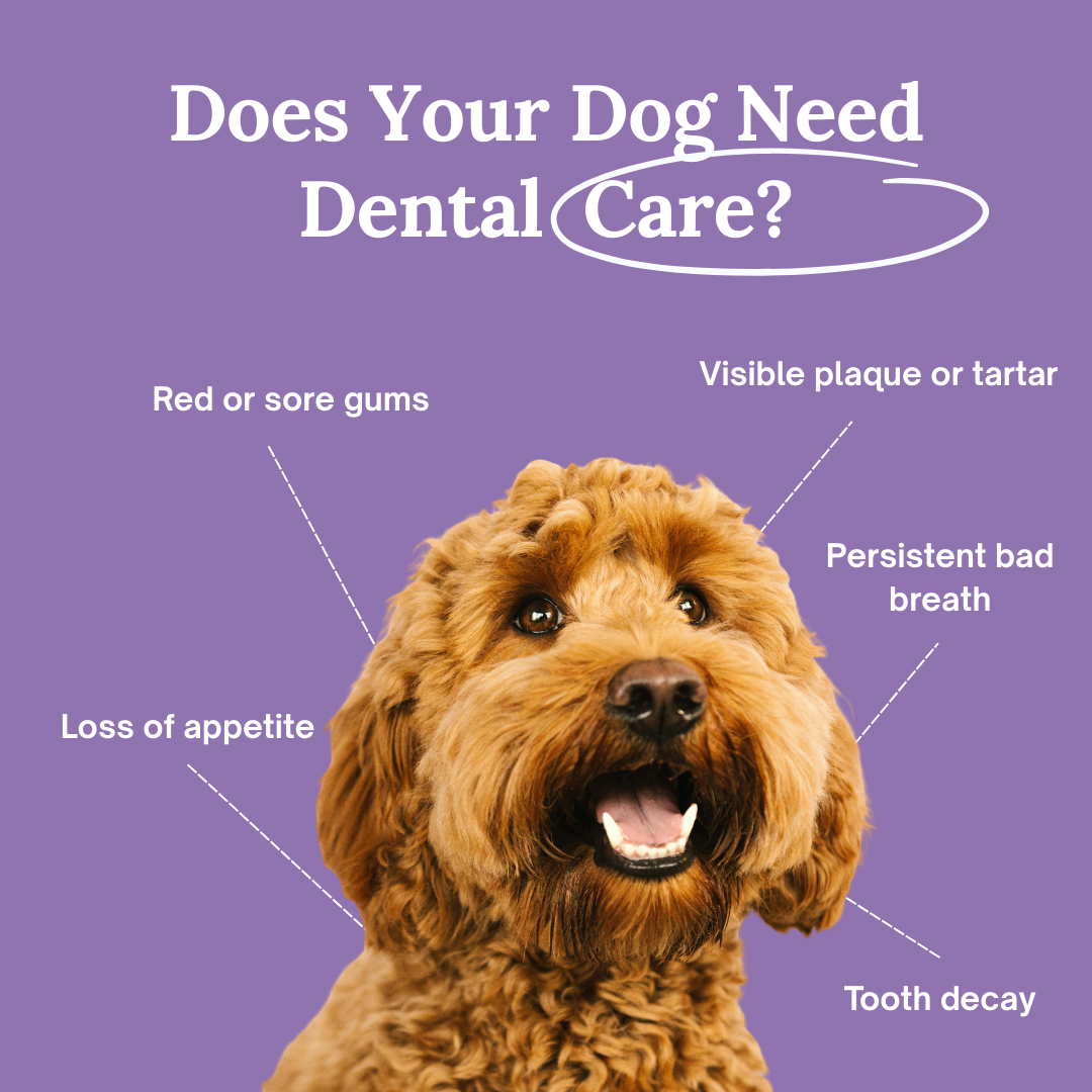 Spokey™ OralFresh Pet Pen