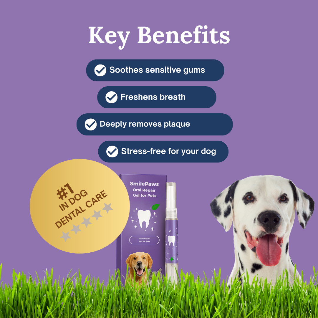 Spokey™ OralFresh Pet Pen