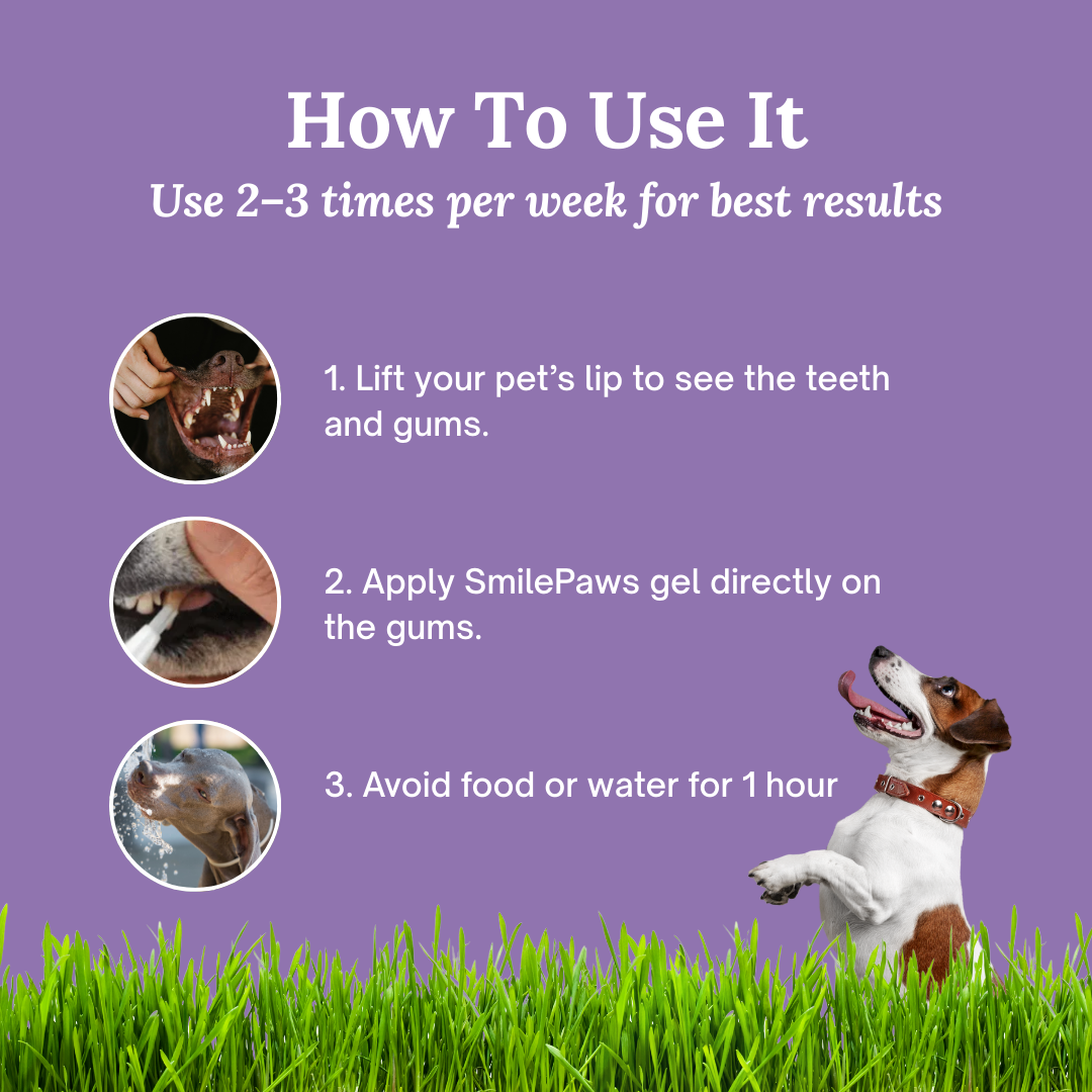 Spokey™ OralFresh Pet Pen
