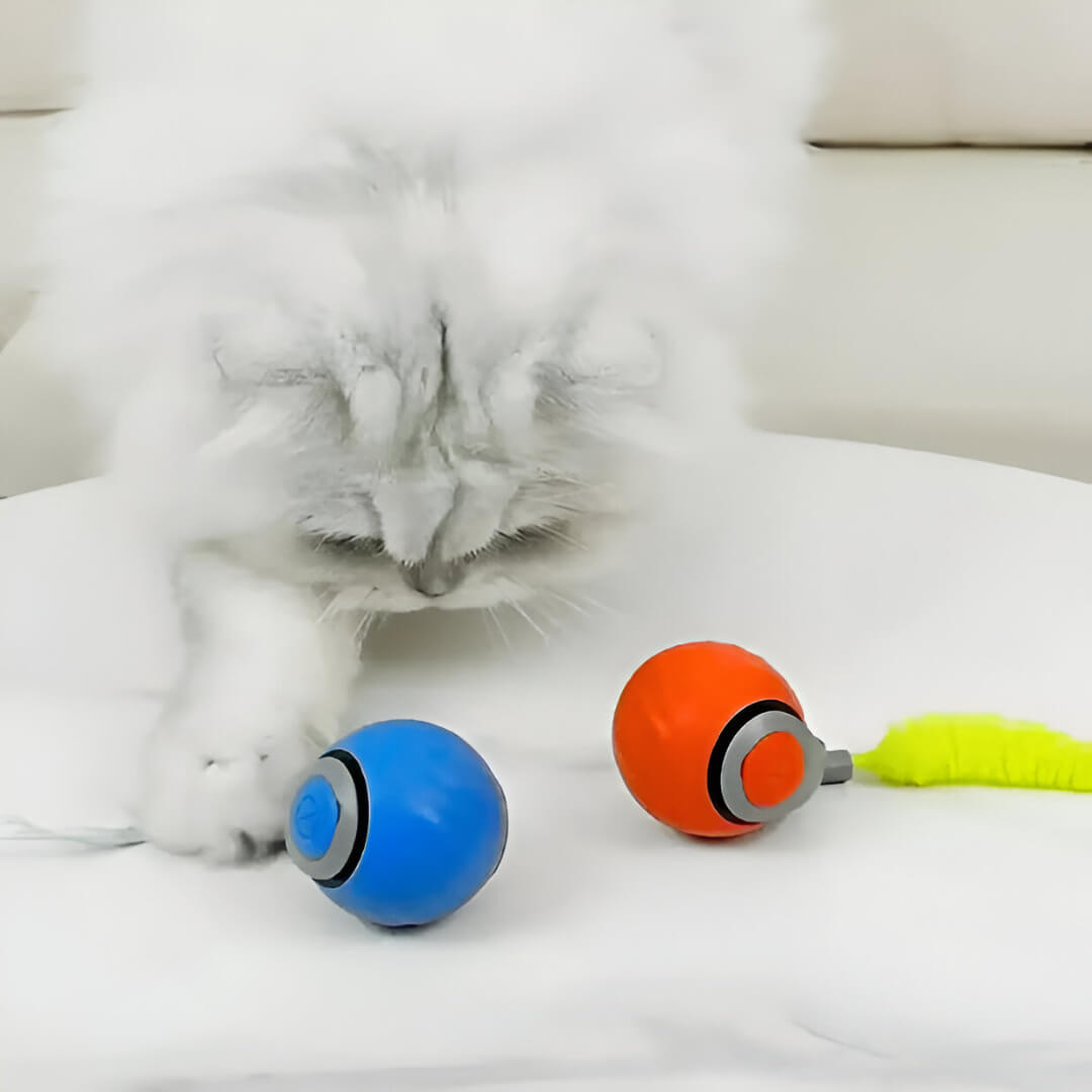 Spokey™ PawRoll Ball