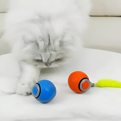 Spokey™ PawRoll Ball
