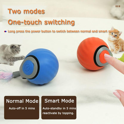 Spokey™ PawRoll Ball