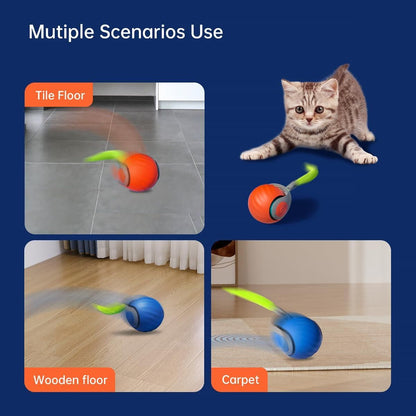 Spokey™ PawRoll Ball