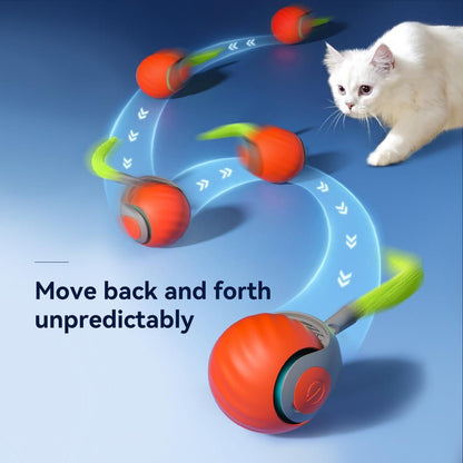 Spokey™ PawRoll Ball