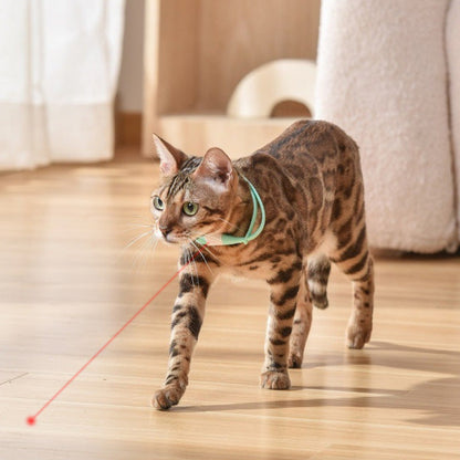 Spokey™ AutoChase Pet Laser